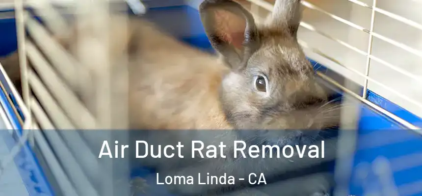 Air Duct Rat Removal Loma Linda - CA