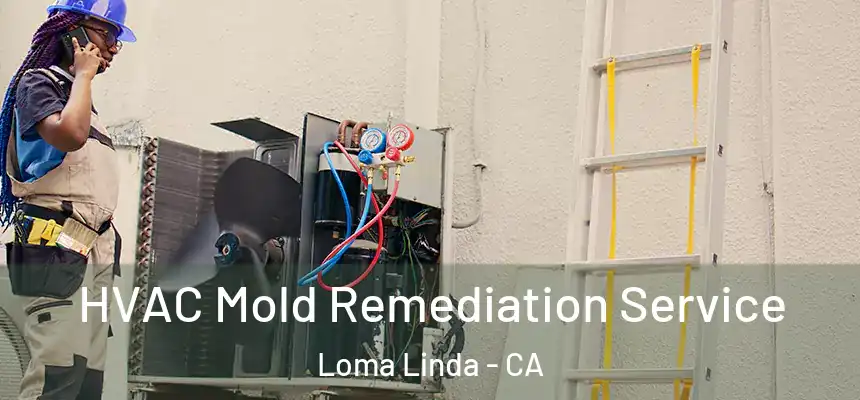  HVAC Mold Remediation Service Loma Linda - CA