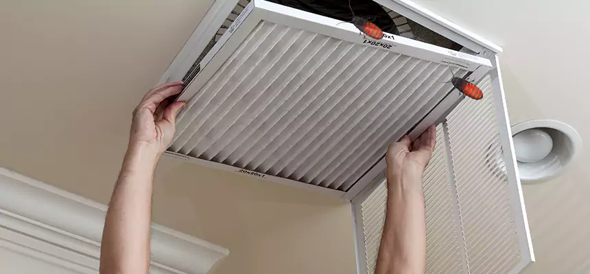 Preventive Cockroach-Proofing for Ducts in Loma Linda