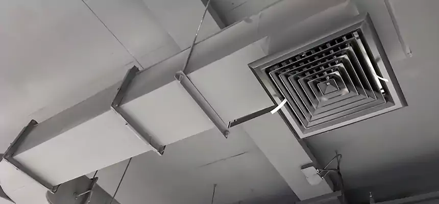 Restorative Allergy Relief Vent Cleaning – Coil, Blower & Housing Detail in Loma Linda