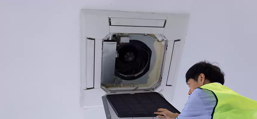 Our Dryer Vent Sanitization Service Services in Loma Linda, CA