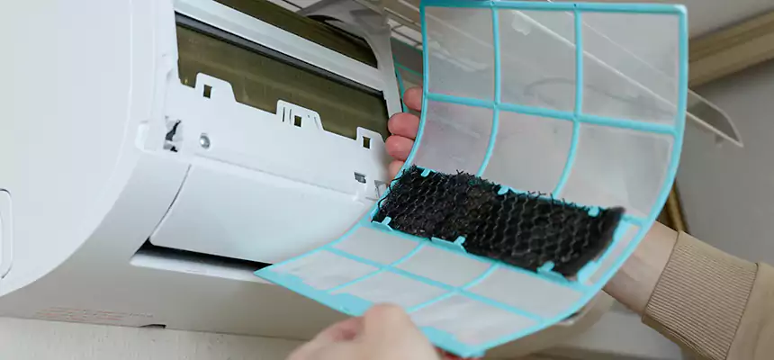 Gentle Ductwork Odor-Control Pet Dander Duct Cleaning in Loma Linda, CA