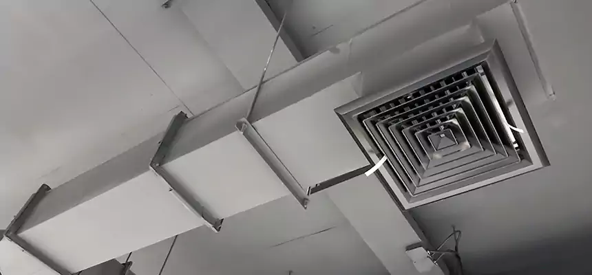 Our Rodent Droppings In Vents Services in Loma Linda, CA