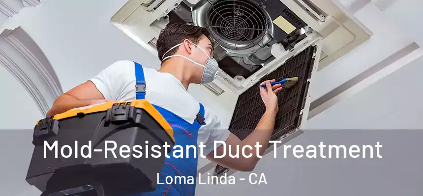 Mold-Resistant Duct Treatment Loma Linda - CA