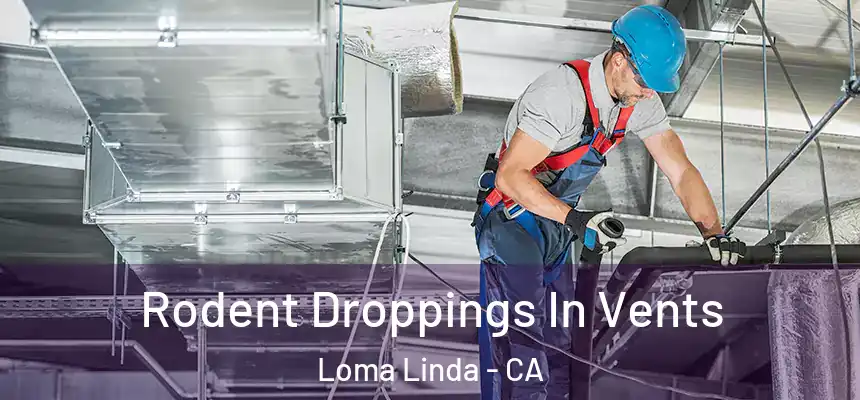  Rodent Droppings In Vents Loma Linda - CA