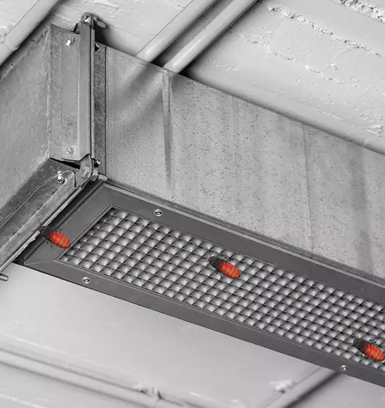 About Air Duct Cockroach Removal in Loma Linda, CA