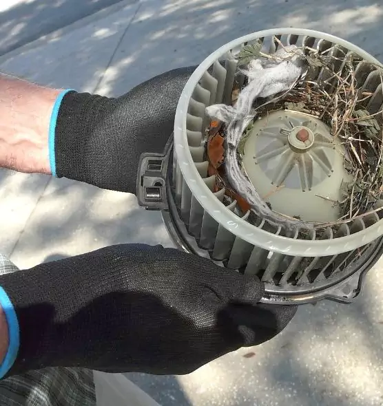 About Air Duct Rat Removal in Loma Linda, CA