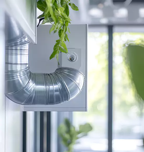 Professional Eco-Safe Dryer Vent Cleaning in Loma Linda, CA