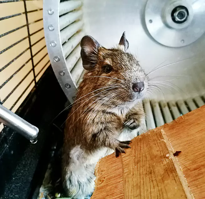 Why Homeowners & Businesses Trust Us Loma Linda, CA